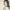 https://res.cloudinary.com/billionhands/image/upload/v1775343909/items/wzccw1dqkqu9izwhpcot.png-3cover