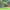 https://res.cloudinary.com/billionhands/image/upload/v1775344536/items/pfz4wkybvbzprym5whqg.jpg-2cover