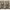 https://res.cloudinary.com/billionhands/image/upload/v1775344670/items/f3sx2ucjbqt4yvwq6imu.jpg-2cover