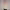 https://res.cloudinary.com/billionhands/image/upload/v1775344783/items/yqc0tyaywuckirhywgf1.webp-3cover
