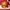 https://res.cloudinary.com/billionhands/image/upload/v1775344850/items/bmbj9jcoo5m9elma8yeh.png-1cover