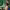 https://res.cloudinary.com/billionhands/image/upload/v1775345004/items/nemgwj0h6f3mkhuzokdl.jpg-1cover