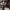 https://res.cloudinary.com/billionhands/image/upload/v1775345604/items/vqwotg6tpdsow3zupvix.jpg-0cover