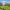 https://res.cloudinary.com/billionhands/image/upload/v1775346250/items/fgyibnbsqlsdfk4z6dfw.jpg-0cover