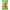 Calbee Shrimp Chips Chili Lime 3.3 oz cover