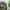 https://res.cloudinary.com/billionhands/image/upload/v1775346667/items/b6rugmpoywikeqqyefj0.jpg-1cover