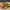 https://res.cloudinary.com/billionhands/image/upload/v1775346667/items/yfexgv9fc6vnkrtivjql.jpg-1cover