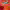 https://res.cloudinary.com/billionhands/image/upload/v1775346863/items/xuoznfekmtbs4letpeht.webp-0cover
