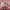 https://res.cloudinary.com/billionhands/image/upload/v1775346983/items/dwwxbfqxuqqe36f49ih1.webp-0cover