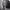 https://res.cloudinary.com/billionhands/image/upload/v1775347576/items/om87wsrayv0fla80zgze.jpg-1cover