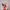 https://res.cloudinary.com/billionhands/image/upload/v1775347579/items/pqpxkebr2lh0jllthg9s.avif-3cover