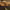 https://res.cloudinary.com/billionhands/image/upload/v1775347737/items/ljh7dwnpb52svnkexgo2.jpg-3cover