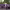 https://res.cloudinary.com/billionhands/image/upload/v1775347910/items/ygdlyyptujrigtqn4cls.jpg-2cover