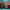 https://res.cloudinary.com/billionhands/image/upload/v1775348564/items/aucpaj7jjvyi5c3agjzo.webp-2cover