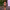 https://res.cloudinary.com/billionhands/image/upload/v1775348565/items/dcegdfykfnbf9yctb7cx.avif-3cover