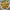 https://res.cloudinary.com/billionhands/image/upload/v1775348608/items/fjv4rmlbyzkr0js8kkw7.jpg-0cover