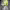 https://res.cloudinary.com/billionhands/image/upload/v1775348634/items/raekdu3jlzgyu5lsbvlx.jpg-0cover