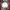 https://res.cloudinary.com/billionhands/image/upload/v1775348639/items/odqylyedcd1rlavvsvr5.jpg-1cover