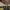 https://res.cloudinary.com/billionhands/image/upload/v1775348893/items/xqkex7vmwdt9zz3o6ghn.jpg-2cover