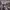 https://res.cloudinary.com/billionhands/image/upload/v1775349185/items/zlzvqqhiskktz3b09nfu.jpg-2cover