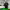 https://res.cloudinary.com/billionhands/image/upload/v1775349899/items/oqbbdx2jpczhdu7ffuju.jpg-2cover