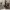 https://res.cloudinary.com/billionhands/image/upload/v1775349928/items/p2vziznuwqinbori4i1r.webp-0cover
