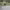 https://res.cloudinary.com/billionhands/image/upload/v1775350084/items/pz4z7tnwog1ldv5vr4vz.jpg-3cover