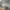 https://res.cloudinary.com/billionhands/image/upload/v1775350209/items/hwwdfhy9opc2mscfntq1.webp-0cover