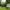 https://res.cloudinary.com/billionhands/image/upload/v1775350211/items/cexjmurfwfrpjdlmgtmh.webp-3cover