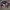 https://res.cloudinary.com/billionhands/image/upload/v1775350478/items/z1fvnad7htxzxqzwvmy1.jpg-3cover