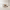 https://res.cloudinary.com/billionhands/image/upload/v1775350697/items/ck67zrdzezqj6fvsqwrq.webp-2cover