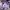 https://res.cloudinary.com/billionhands/image/upload/v1775351223/items/rhln7bmqdf6w9ocbiliw.jpg-2cover