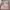 https://res.cloudinary.com/billionhands/image/upload/v1775351397/items/pyjvni0buz5kizfd91xm.webp-2cover