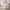 https://res.cloudinary.com/billionhands/image/upload/v1775351955/items/urpmnz7zsimcluow2mdy.webp-0cover
