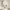 https://res.cloudinary.com/billionhands/image/upload/v1775351958/items/cfwrkn5rxcxext4mpwjz.jpg-2cover