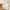 https://res.cloudinary.com/billionhands/image/upload/v1775352017/items/kjdenmdwdqdo6tsv2zwf.jpg-2cover