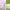 https://res.cloudinary.com/billionhands/image/upload/v1775352018/items/mak5kxlab3tz97o5gctr.png-2cover
