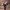 https://res.cloudinary.com/billionhands/image/upload/v1775352257/items/yddssdo6pbjxsbvj9boo.jpg-1cover