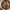 https://res.cloudinary.com/billionhands/image/upload/v1775352819/items/faya8vgue76yhgezmthf.webp-1cover
