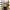 https://res.cloudinary.com/billionhands/image/upload/v1775353631/items/x3xls74zaevbnasdceut.jpg-2cover