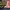 https://res.cloudinary.com/billionhands/image/upload/v1775353752/items/dopfuylesmzc16srhdzo.jpg-2cover