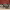 https://res.cloudinary.com/billionhands/image/upload/v1775353804/items/cglgnvbbmcbuxeoz4kc4.webp-2cover