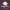 Horizons cover