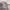 https://res.cloudinary.com/billionhands/image/upload/v1775354021/items/tcwfflwjix4qm5l3z31x.webp-3cover
