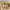 https://res.cloudinary.com/billionhands/image/upload/v1775354116/items/gxviy4mdcplohhj6s7xj.png-1cover