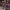 https://res.cloudinary.com/billionhands/image/upload/v1775354862/items/o9sbuy4nxcpazf7ljqb3.jpg-2cover