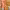 https://res.cloudinary.com/billionhands/image/upload/v1775354899/items/ghzb4nlkqrzw8fibquxy.webp-1cover