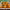 https://res.cloudinary.com/billionhands/image/upload/v1775354916/items/s8esk61preughpoqkebp.webp-2cover