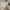 https://res.cloudinary.com/billionhands/image/upload/v1775355057/items/y2w0m4yiiaiuwrxfeat9.jpg-2cover
