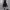 https://res.cloudinary.com/billionhands/image/upload/v1775355223/items/ohunsedsuwxdtuibo6gk.webp-1cover